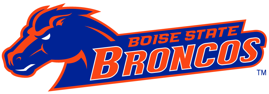 Boise State Broncos 2002-2012 Secondary Logo v22 iron on transfers for clothing